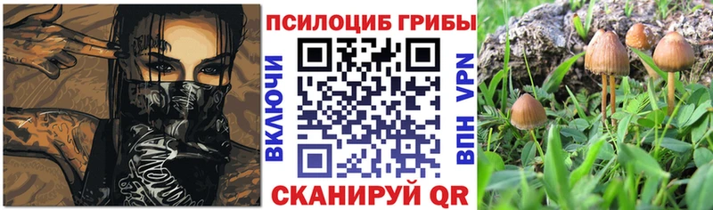 Псилоцибиновые грибы MAGIC MUSHROOMS  купить наркоту  Олёкминск 
